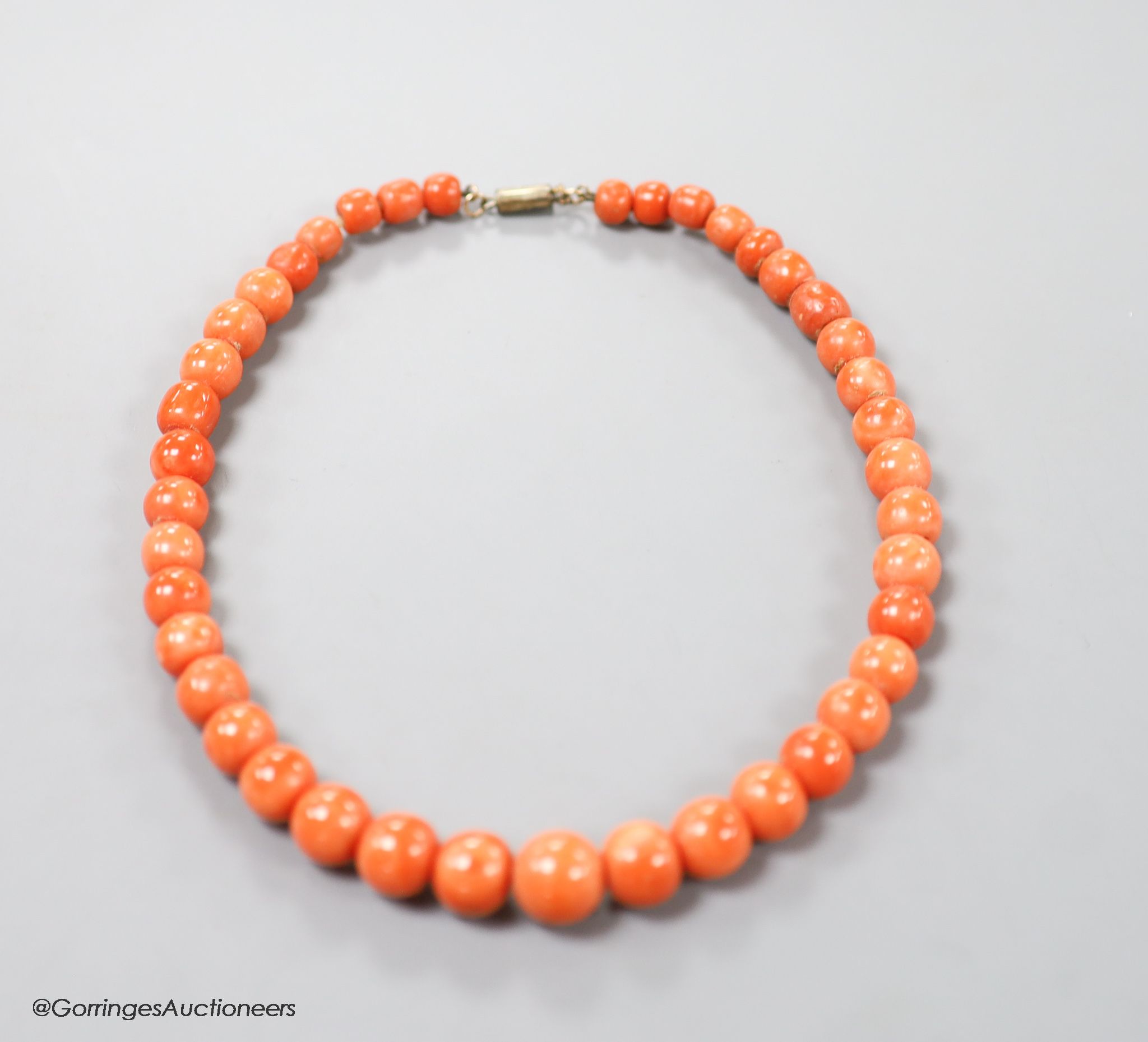 A single strand graduated coral bead choker necklace, 36cm, gross weight 63 grams.